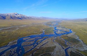 1552285828930891.png 圖片2.png