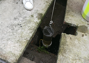 1552285923977761.png 圖片4.png